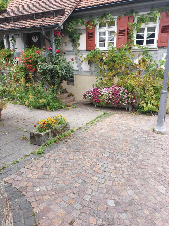 Landgasthof Rose Ξενοδοχείο Ditzingen Εξωτερικό φωτογραφία